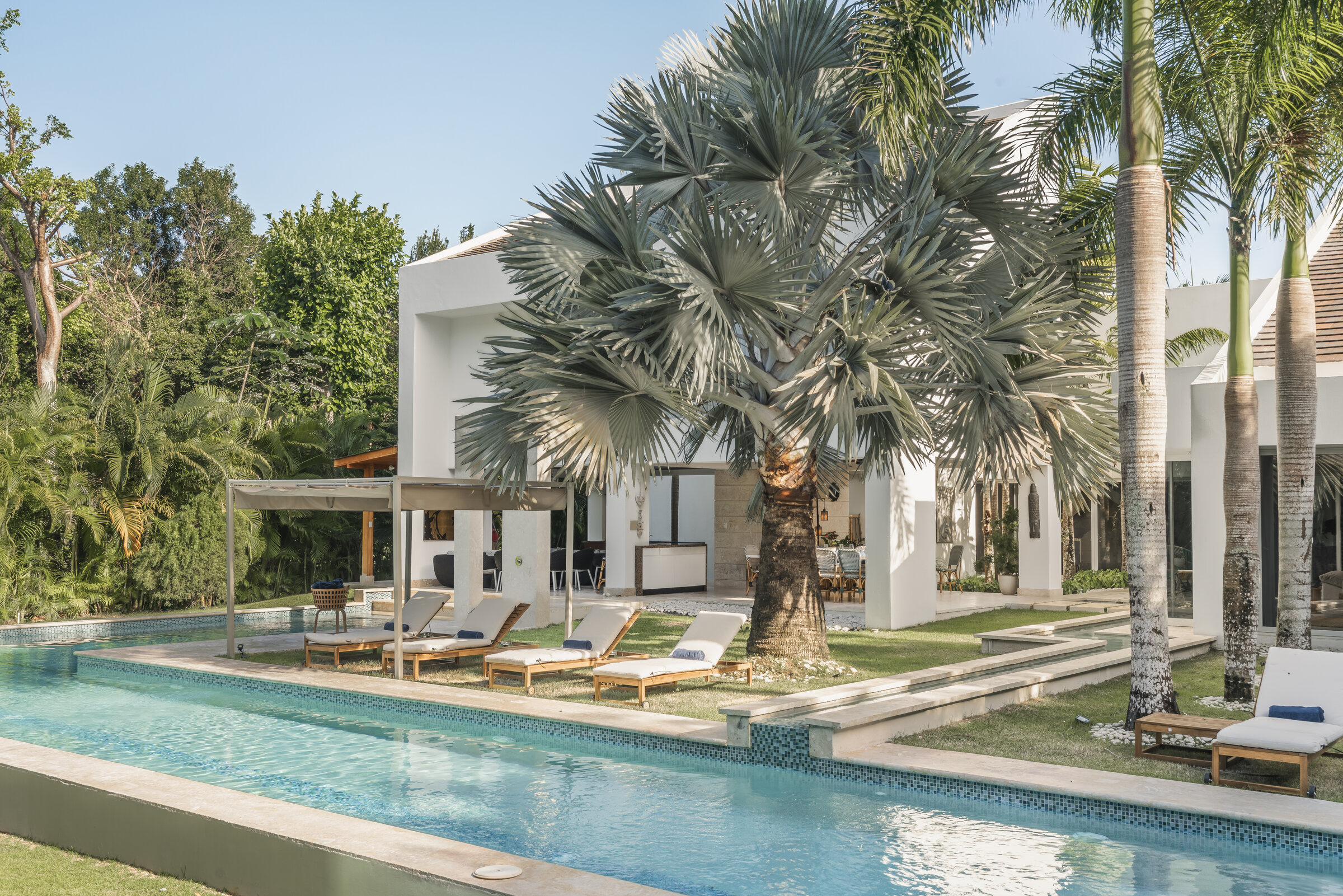 Área exterior Villa Eden — piscina privada con palmera tropical