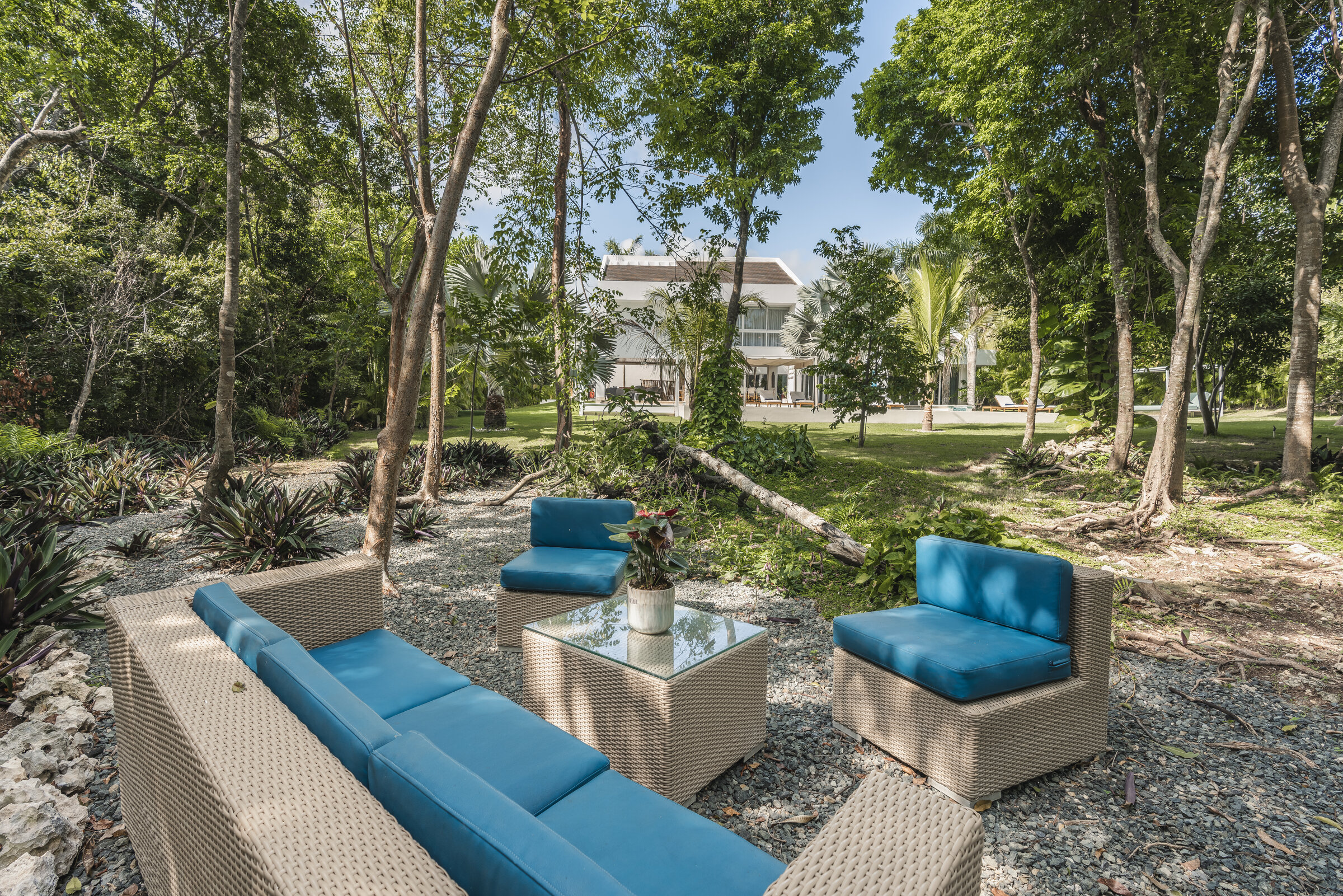 Sala lounge jardín bosque Villa Eden — sofás azules en la naturaleza