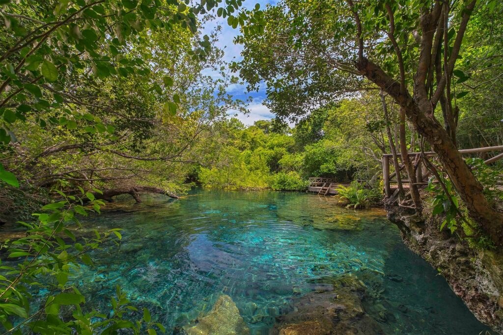 Ojos Indigenas — reserva ecologica Punta Cana